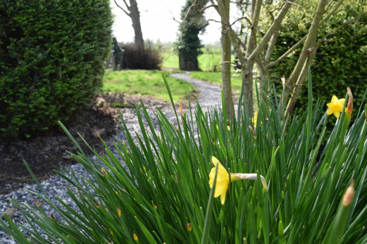 Orchardgrove Apartment Carlow Luaran gambar